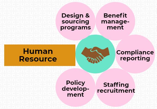 importance of HR in organization